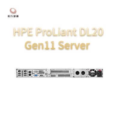 HPE ProLiant DL20 Gen11 Raf Sunucu, flash depolama sistemi, xeon cpu sunucu