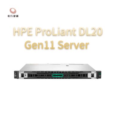 HPE ProLiant DL20 Gen11 Raf Sunucu, flash depolama sistemi, xeon cpu sunucu