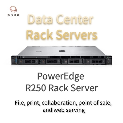 1U PowerEdge R250 Rack Server Premium özelleştirme